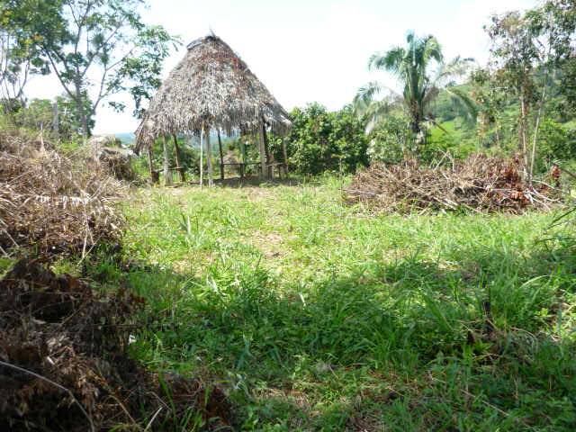 LOTE EN VENTA, VIOTÁ, CUNDINAMARCA