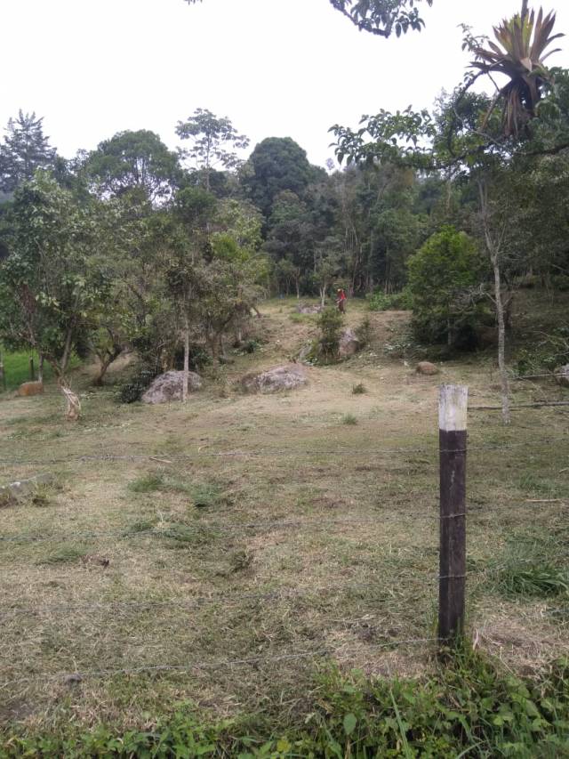 Vendo hermoso lote en San Francisco Cundinamarca