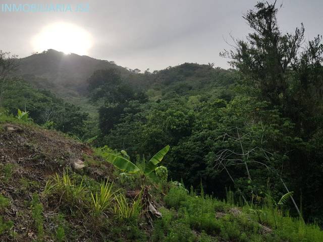 FINCA DE 19.5 HTS CERCA DEL PARQUE TAYRONA.