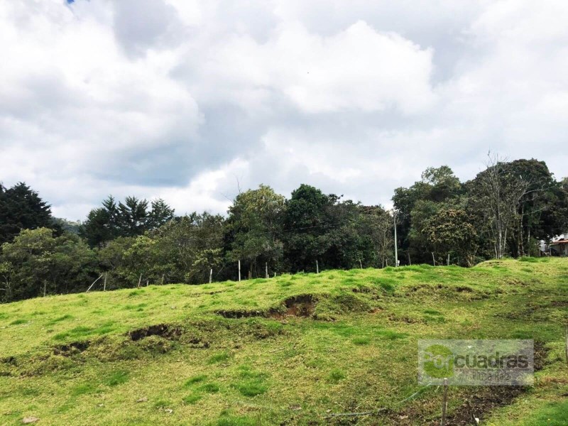 FINCA VARIANTE AEROPUERTO - ALTO LAS PALMAS