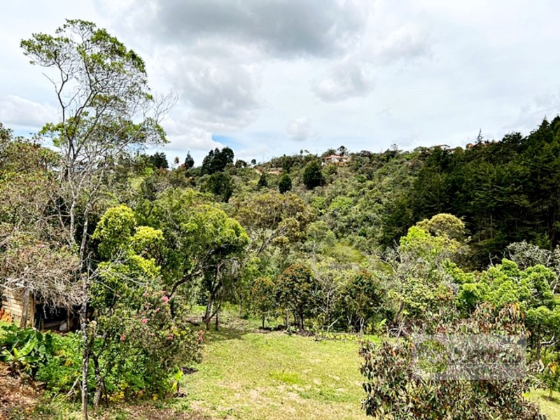 LOTE EN GUARNE