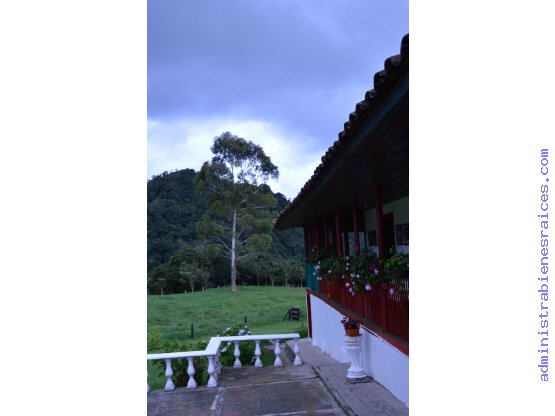 Hacienda Finca Turística Valle de Cocora Salento Quindio Armenia