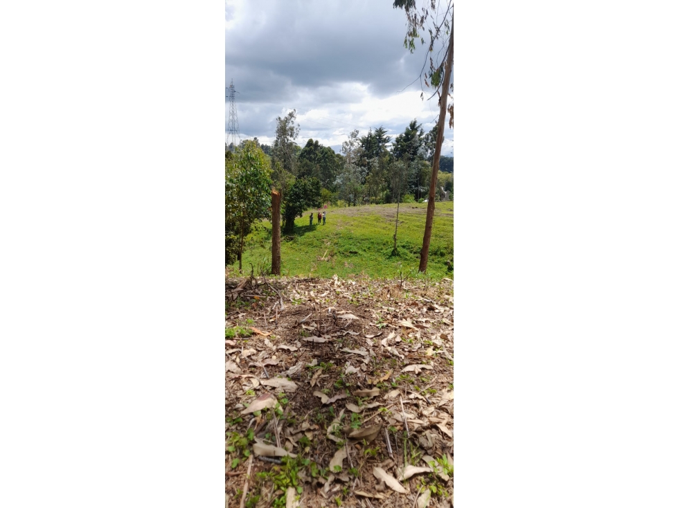 Venta de lotes en Rionegro Antioquia