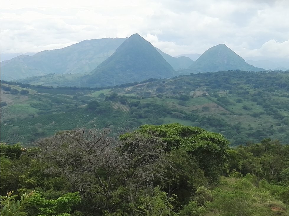 VENTA LOTE TÁMESIS, SUROESTE ANTIOQUEÑO UNIDAD CERRADA