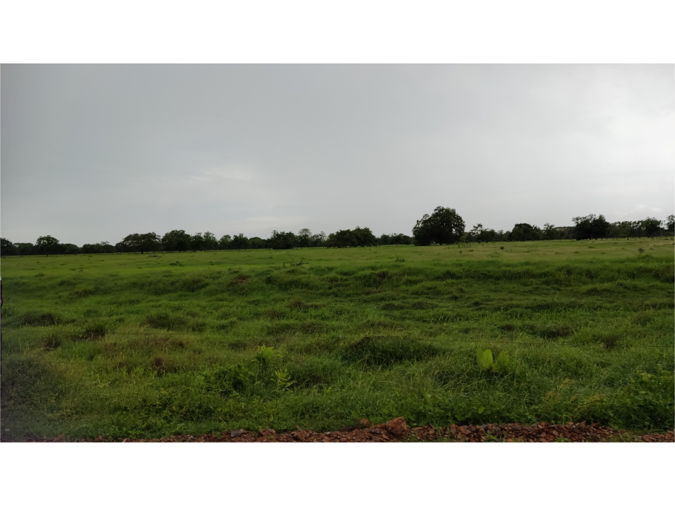 Finca ganadera a 10 minutos de Montería totalmente plana