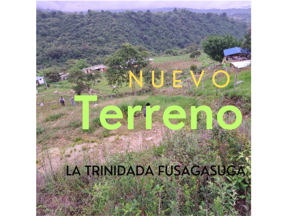 LOTE VEREDA LA TRINIDAD FUSAGASUGA