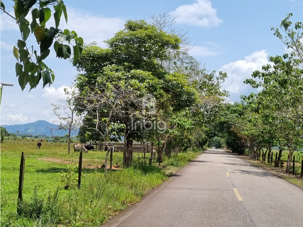 VENTA DE LOTES CAMPESTRES EN SAN JOSÉ DEL FRAGUA, CAQUETÁ