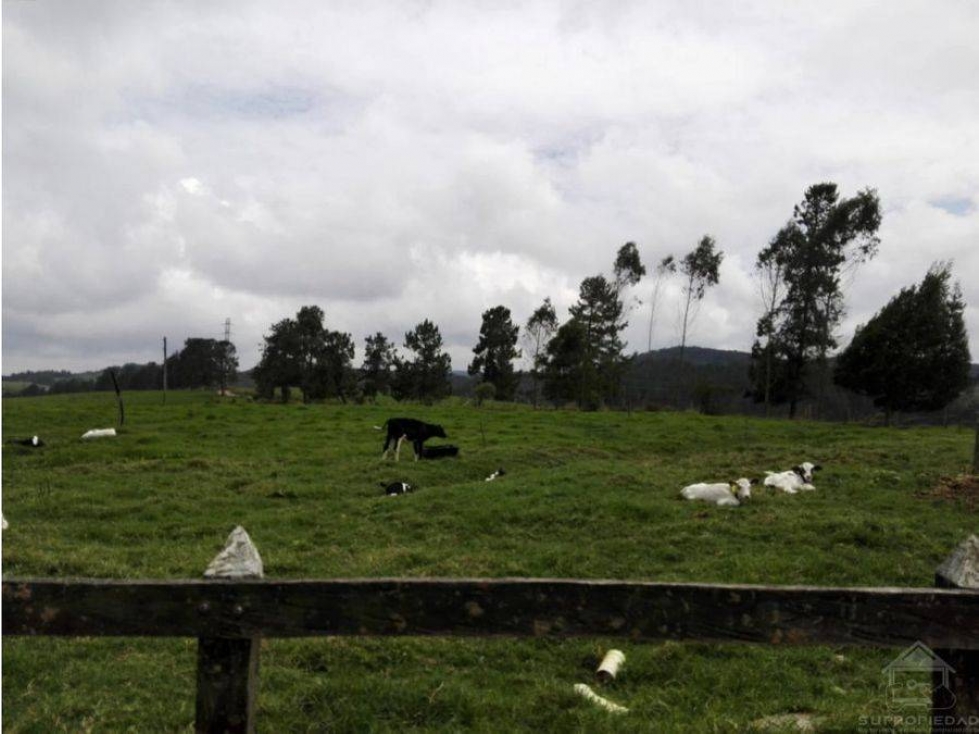 VENDO EXCELENTE FINCA LECHERA DE 100 HECTÁREAS EN LLANOS DE CUIVÁ