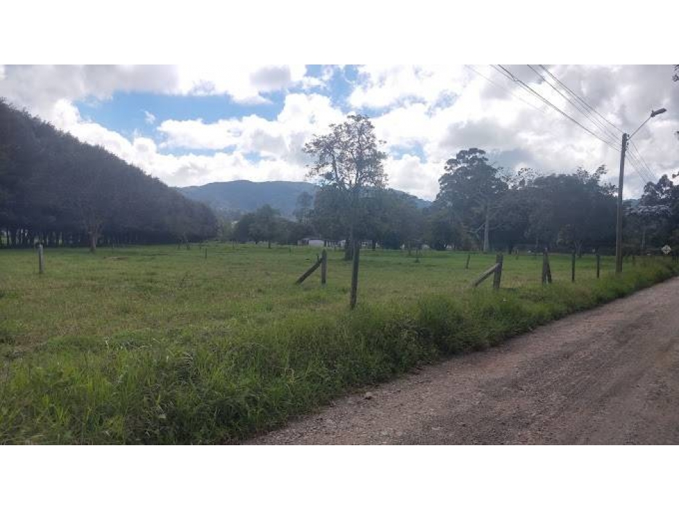 VENDO 3 LOTES C/UNO DE 10.000 m² EN LA PARCELACIÓN EL YARUMO LA CEJA