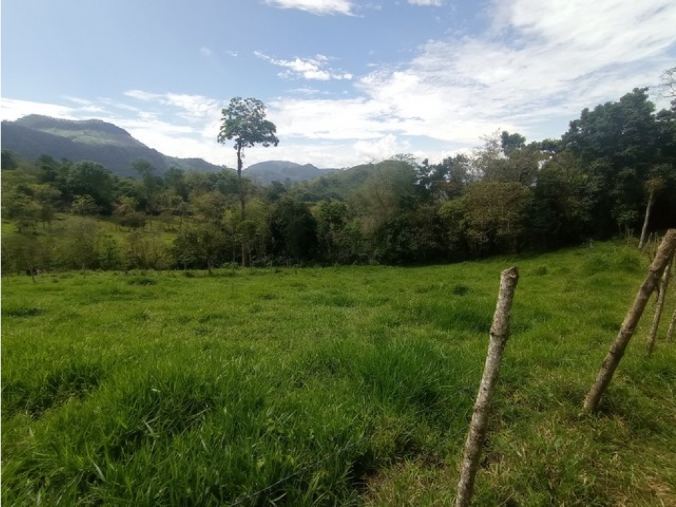 VENDO LOTE DE 10.000 m² EN VENECIA VEREDA EL CERRO