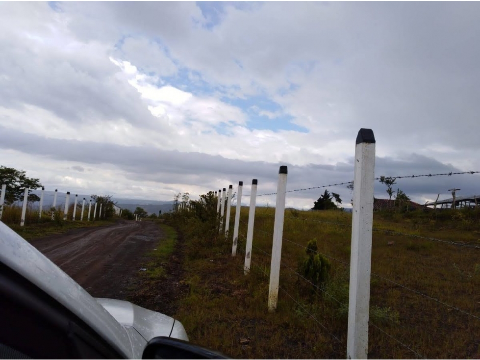 Venta-Lote en la Vereda Arbol Solo del municipio de Curití, Santander