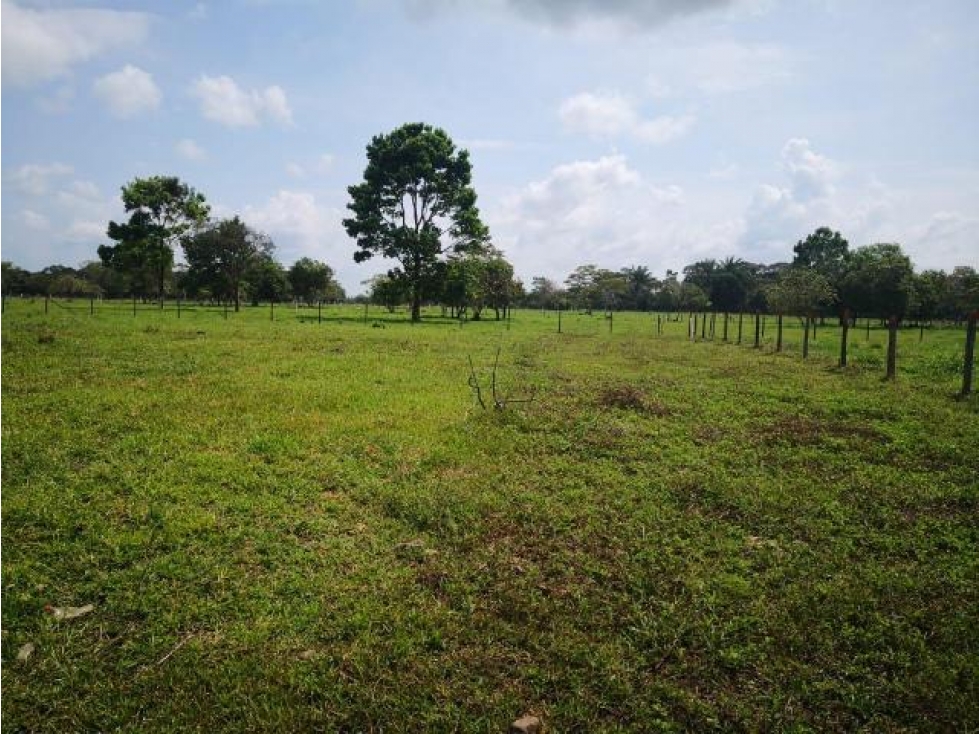 VENDO LOTE 19500 M2 POR SAZAGUA PEREIRA