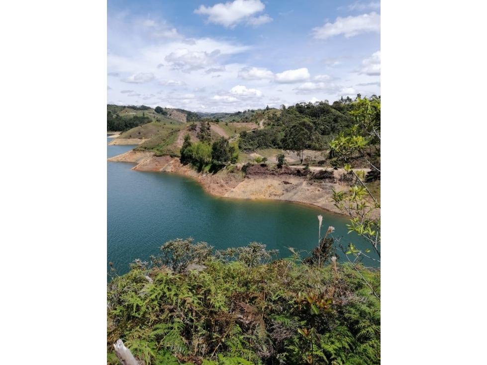 Venta de Lote Sector Vereda La Magdalena, El Peñol