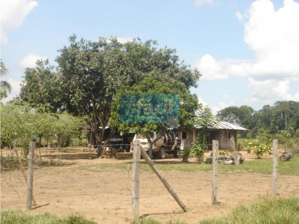 Fincas en Cumaribo-Vichada, sector de Malicia Baja