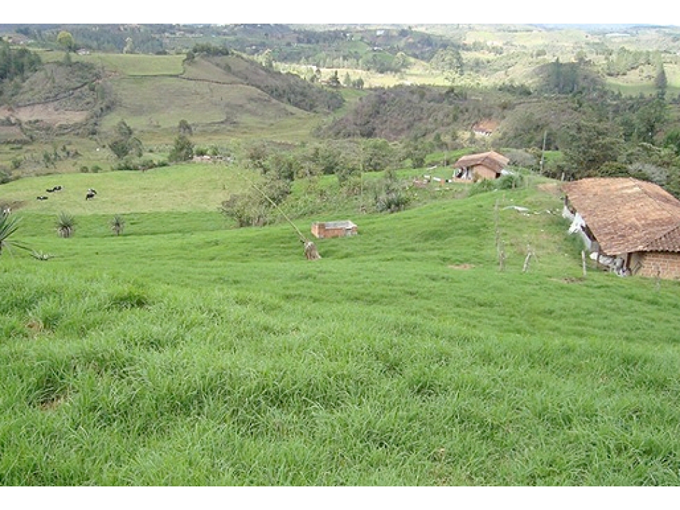 Finca de 26 Hectáreas, Oportunidad para parcelación o ganadería