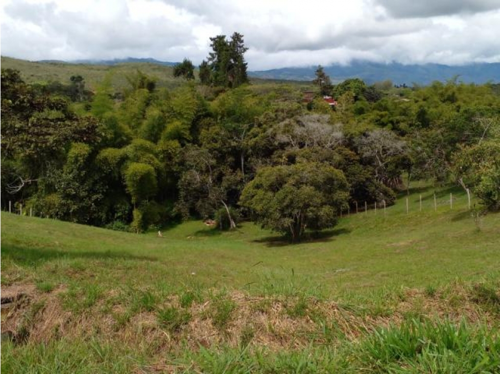 Finca de 1.2 Hectáreas, buena tierra para sembrar