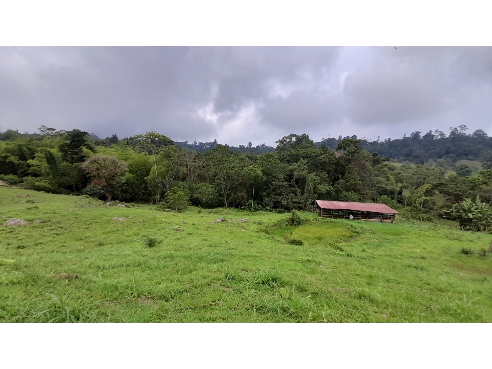 Lote en Vereda Antioquia (El Colegio)