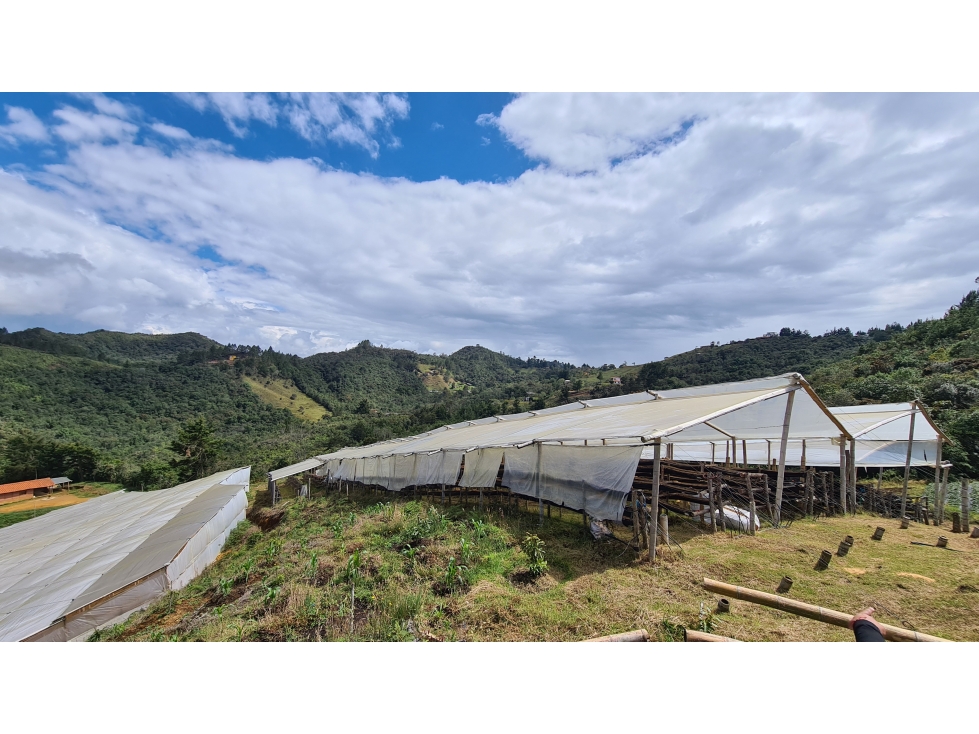 Finca en Venta en Guarne