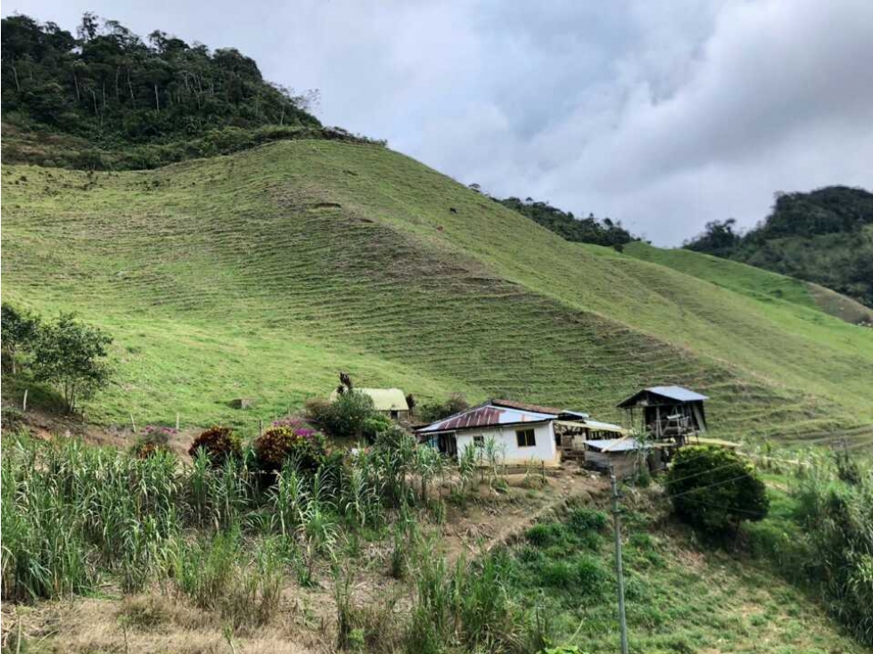 VENDO FINCA GANADERA EN VERSALLES. L. G(6821913)