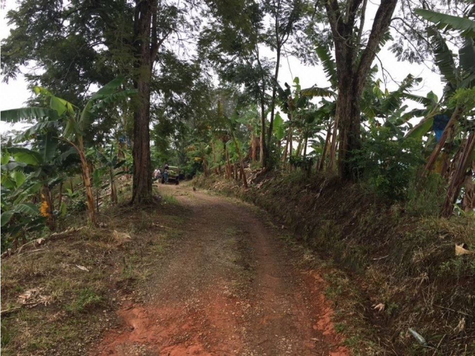 Gran Finca Santa Rosa de Cabal Pereira