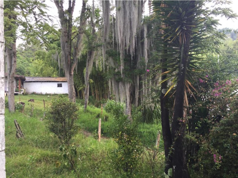 Gran Lote Rural Villamaría Caldas Manizales