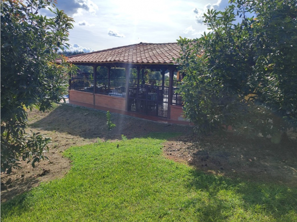 finca en venta Rionegro Antioquia con sembrado de Aguacate OR