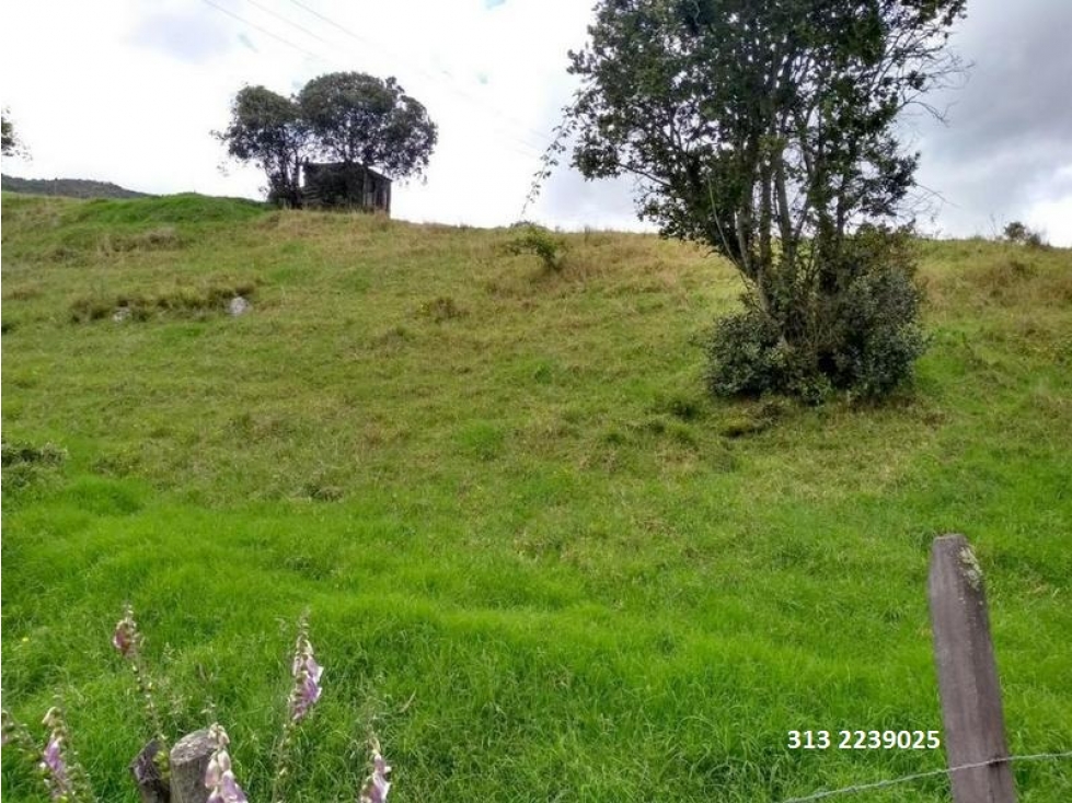 VENDO LOTE EN TABIO- CUNDINAMARCA (REF. F/ 59)