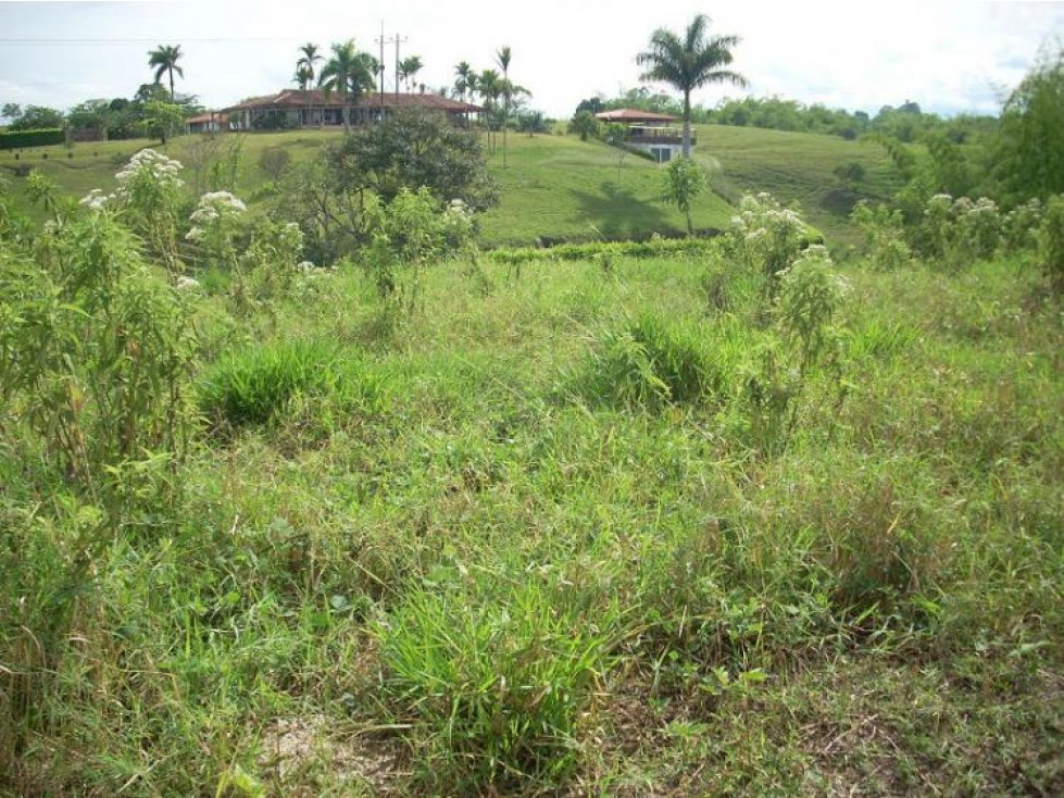 VENTA DE LOTE CERCA A MONTENGRO QUINDIO