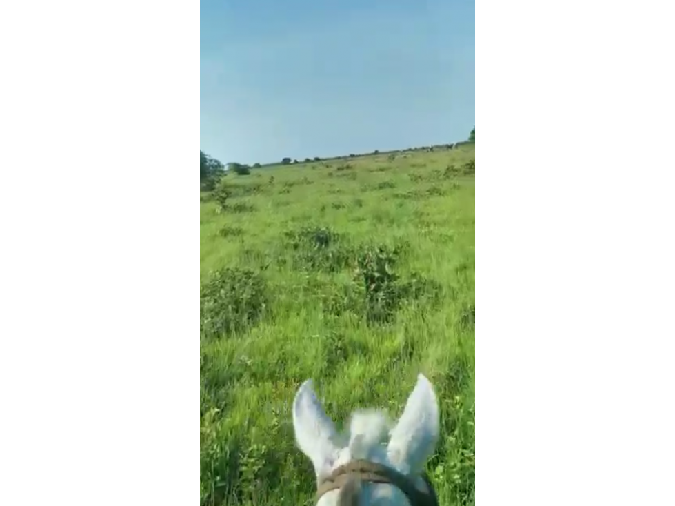 Venta de Hacienda ganadera en Maní Casanare