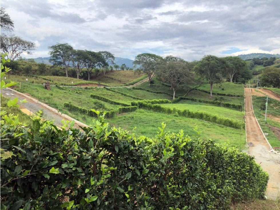 LOTE EN CONJUNTO CAMPESTRE VÍA A MEDELLÍN