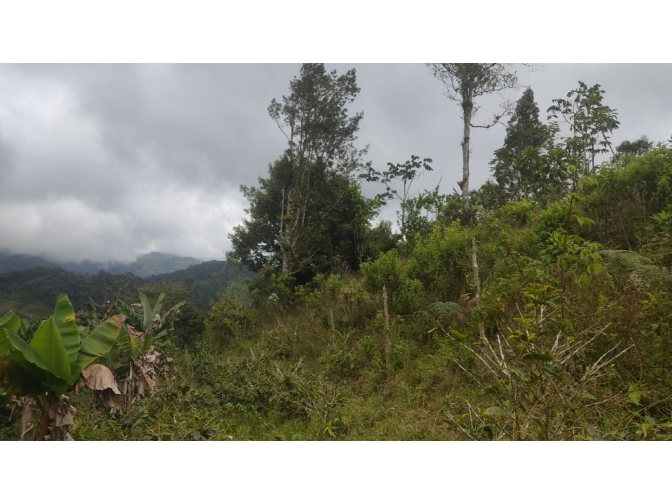 venta finca en Urrao en el suroeste antioqueño