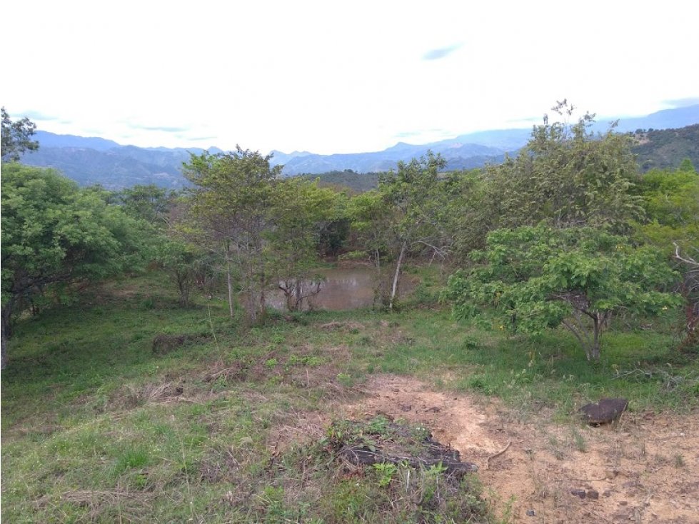 Finca con agua propia entre Anapoima - La Mesa