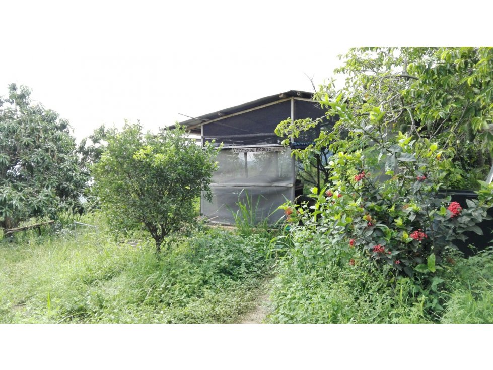 Finca en La Mesa-San Joaquin con arboles frutales