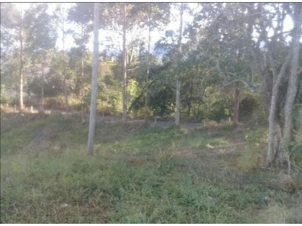 VENPERMUTO LOTE SUPATA CUNDINAMARCA $190 MILLONES