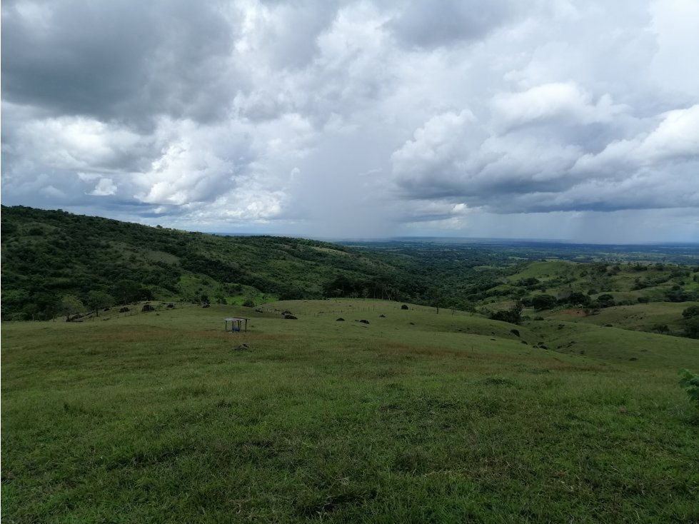 Finca la esperanza