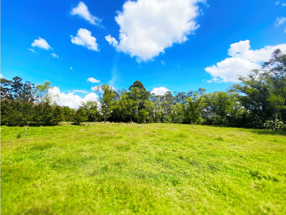 Venta de Lote para Parcelar Llanogrande