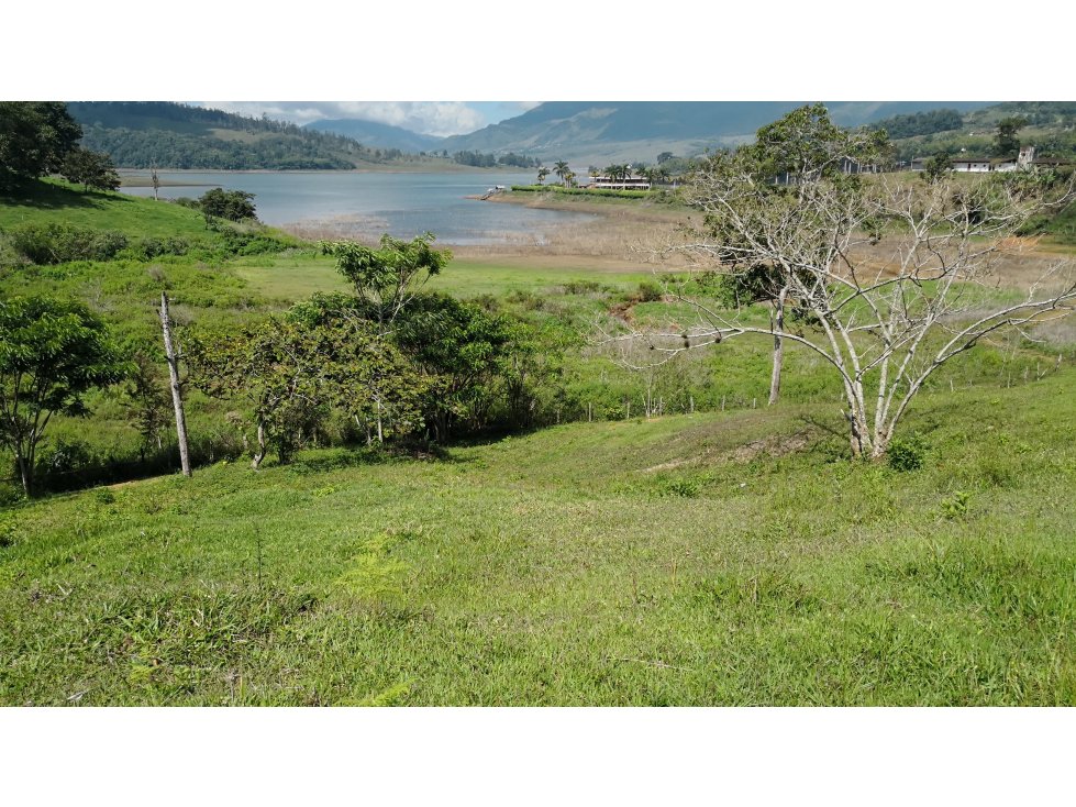 LOTE EN LAGO CALIMA VALLE DEL CAUCA