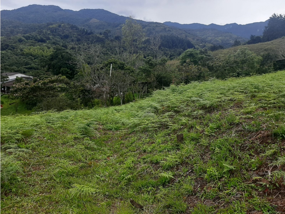 SE VENDE LOTE EN PICHINDE - VALLE DEL CAUCA