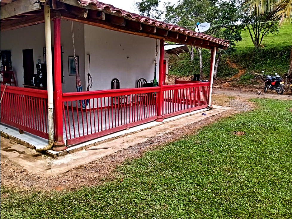 VENTA DE LINDA FINCA DE 330 HECTÁREAS EN MACEO ANTIOQUIA