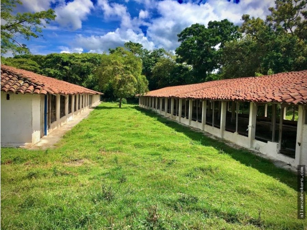 SE VENDE O SE RENTA MAS HERMOSA FINCA GRANJA AVICOLA EN SAN PEDRO