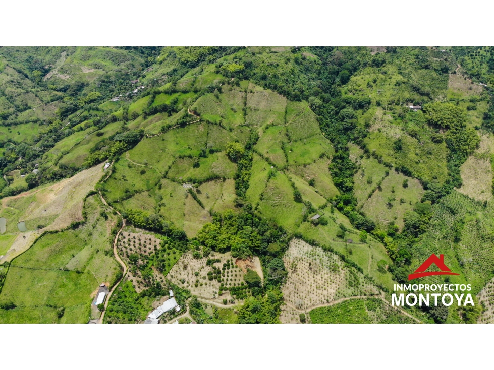 Increíble vista? Finca ganadera? de 40 cuadras en Belalcázar