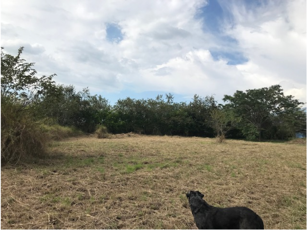 Lote Vía Principal  Ginebra Valle