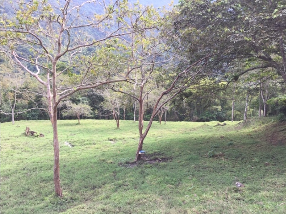 Lote en venta jerico antioquia