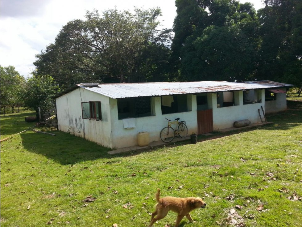 FINCA CON RIBERA AL RIO GUARROJO EN GUANAPE-VICHADA