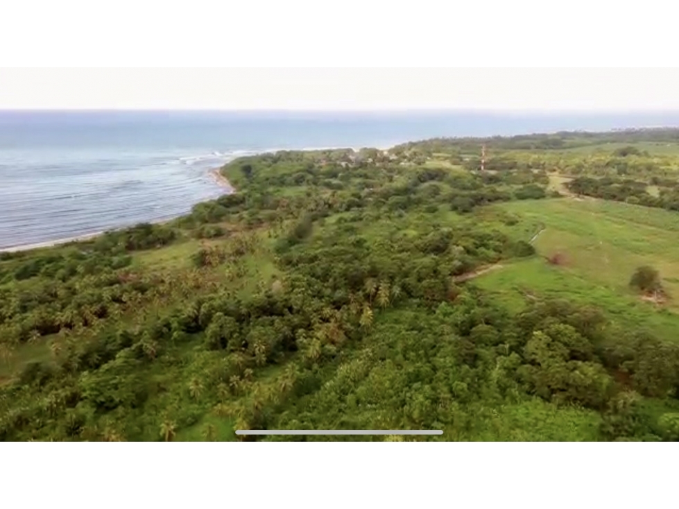 VENTA LOTE CON PLAYA EN TAYRONA BURITACA GUACHACA SANTA MARTA