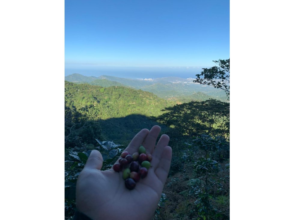 Lote cerca a  Minca Sierra Nevada de Santa Marta el Campano