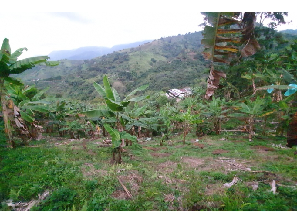 Se vende Finca Córdoba Quindío