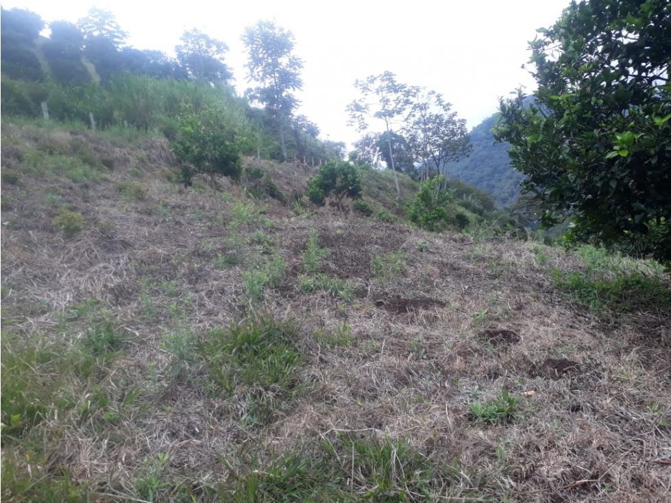 Se vende Lote Barragán Quindío