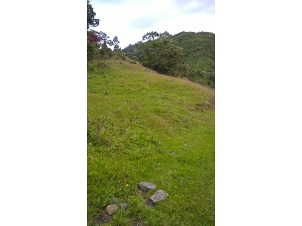 Se vende Finca Génova