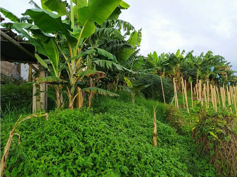 Se vende Finca en Alcalá Valle